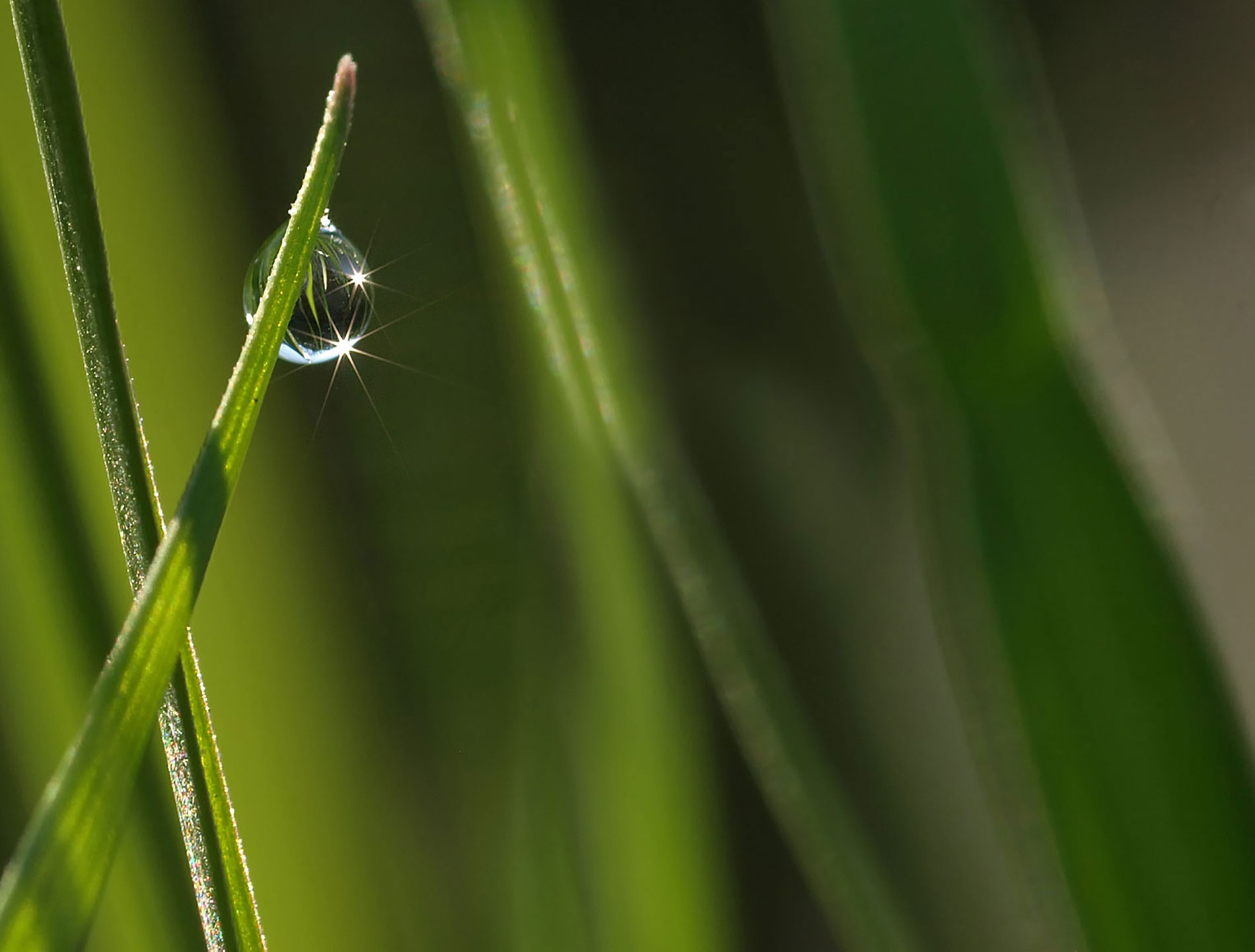 Yoga, Qigong, Entspannungsmassagen